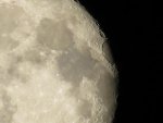IMG_5444-1.jpg
