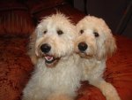 DSC04904-1.jpg
