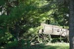 Horse drawn wagon small.jpg