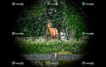 Bke ride 9-29-16   Horse.jpg