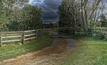 Bke ride 9-29-16   Driveway 2.jpg
