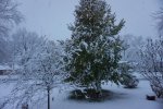 DSC01334-2-1.jpg