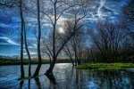 River trees small.jpg River trees small.jpg