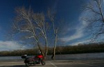River Bike tree small.jpg River Bike tree small.jpg