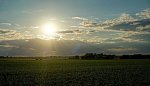 Sun filed smaller.jpg