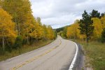 Tree lined road 3.jpg