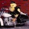 BikerChick
