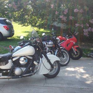 Media 'love the bikes' in album 'Buddyrider'